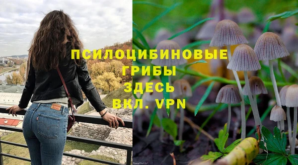 ГАЛЛЮЦИНОГЕННЫЕ ГРИБЫ Алексеевка