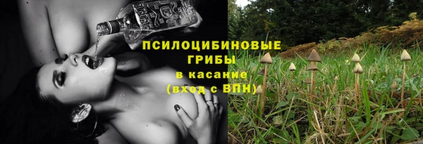 меф Алексин